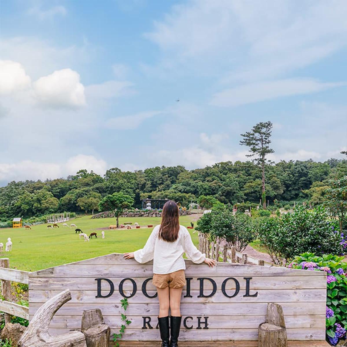 도치돌알파카목장