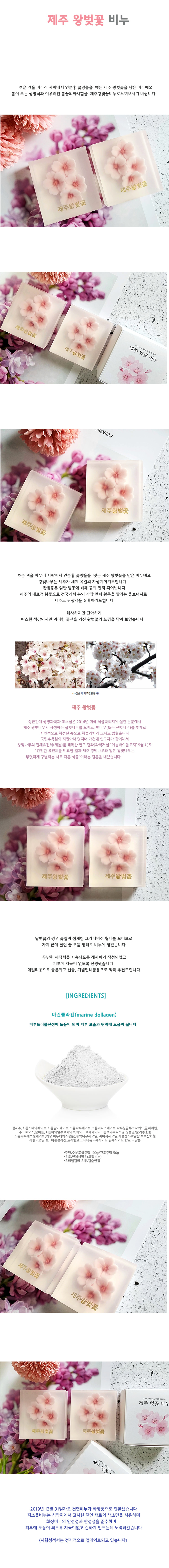 제주 왕벚꽃 비누 상세