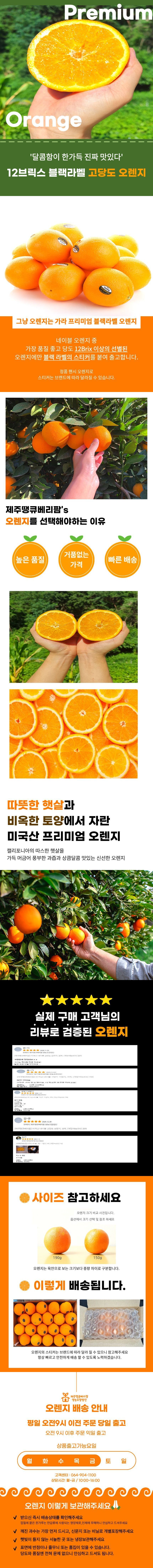 [미국산] 오렌지 블랙라벨 네이블 190g내외 10개~ 상세