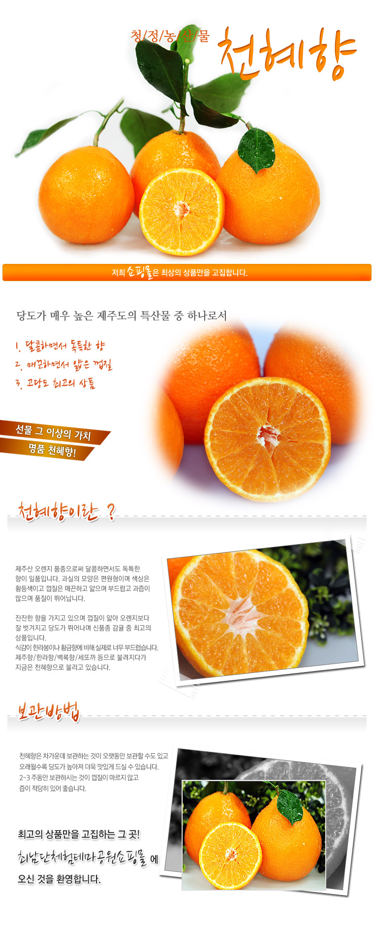 [최남단농장]가뫼물 천혜향 선물용 가정용 실속형 상세