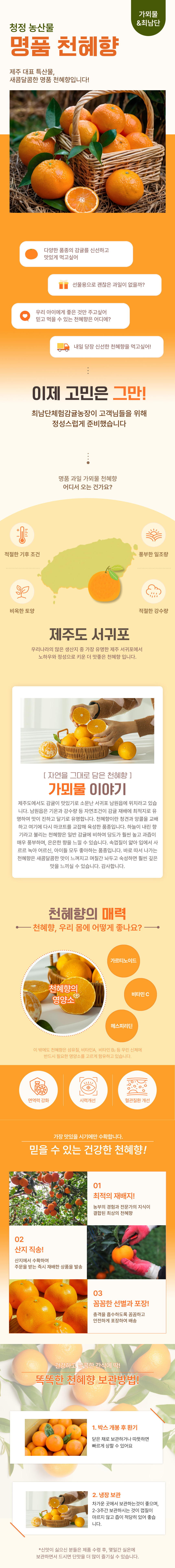 [최남단농장]가뫼물 천혜향 선물용 가정용 실속형 상세