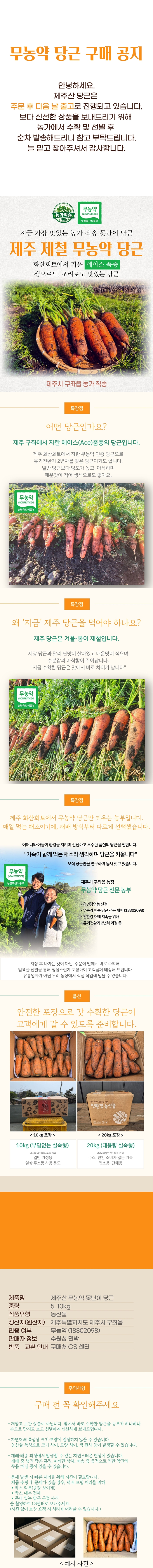 제주 제철 무농약 못난 당근 농가직송 10kg·20kg 상세