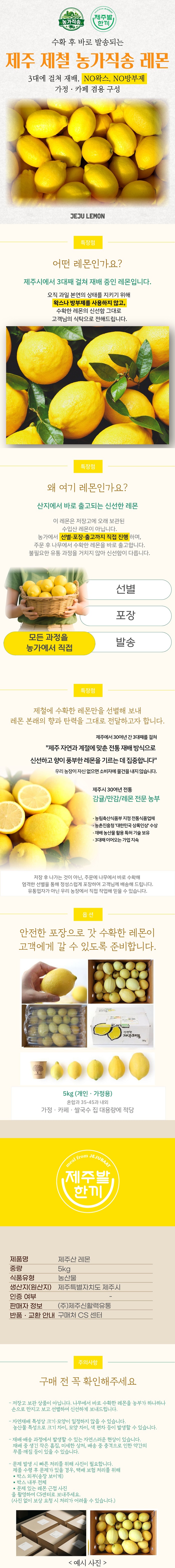 제주산 레몬 5kg 농가직송 제철한정 상세
