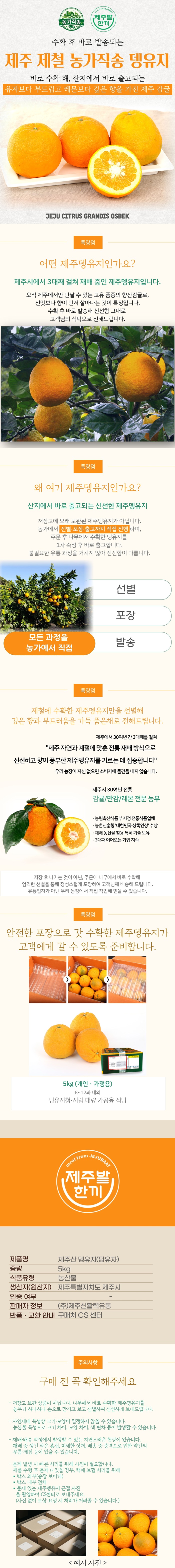 제주산 뎅유지 5kg (당유자·뎅유자) 농가직송 향산감 상세