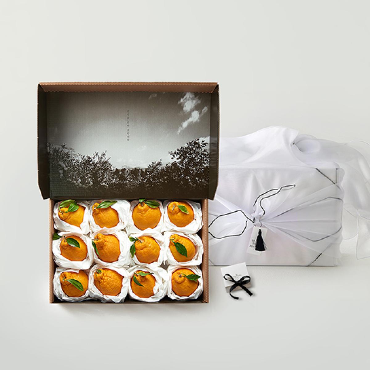 [프리미엄]제주 한라봉 선물세트