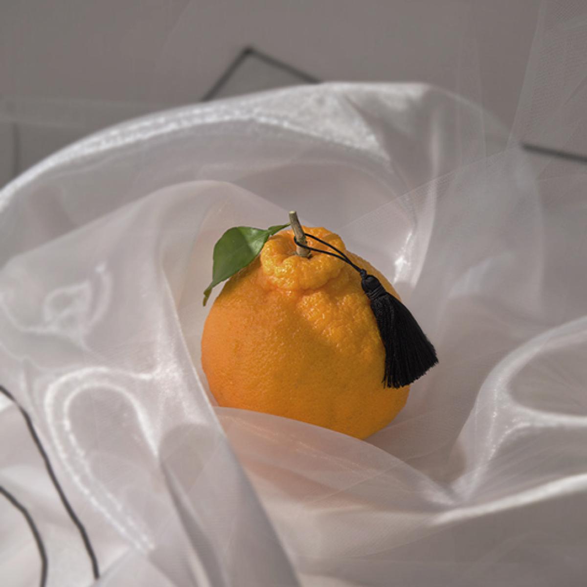 [프리미엄]제주 한라봉 선물세트