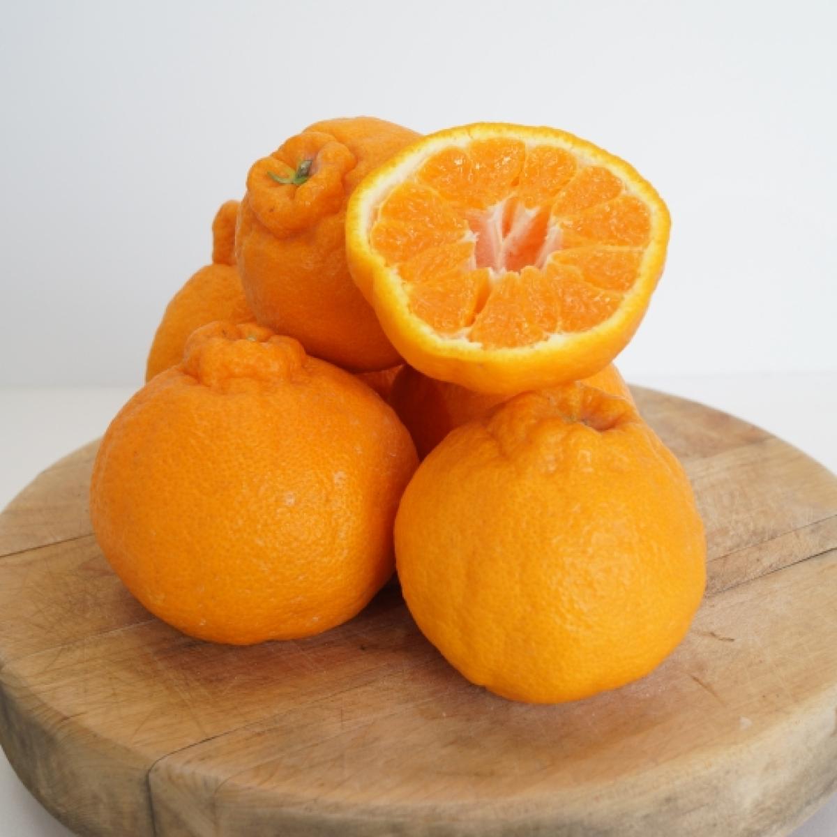 [유진팡] 제주 한라봉 2.5/4.5/9kg 가정용