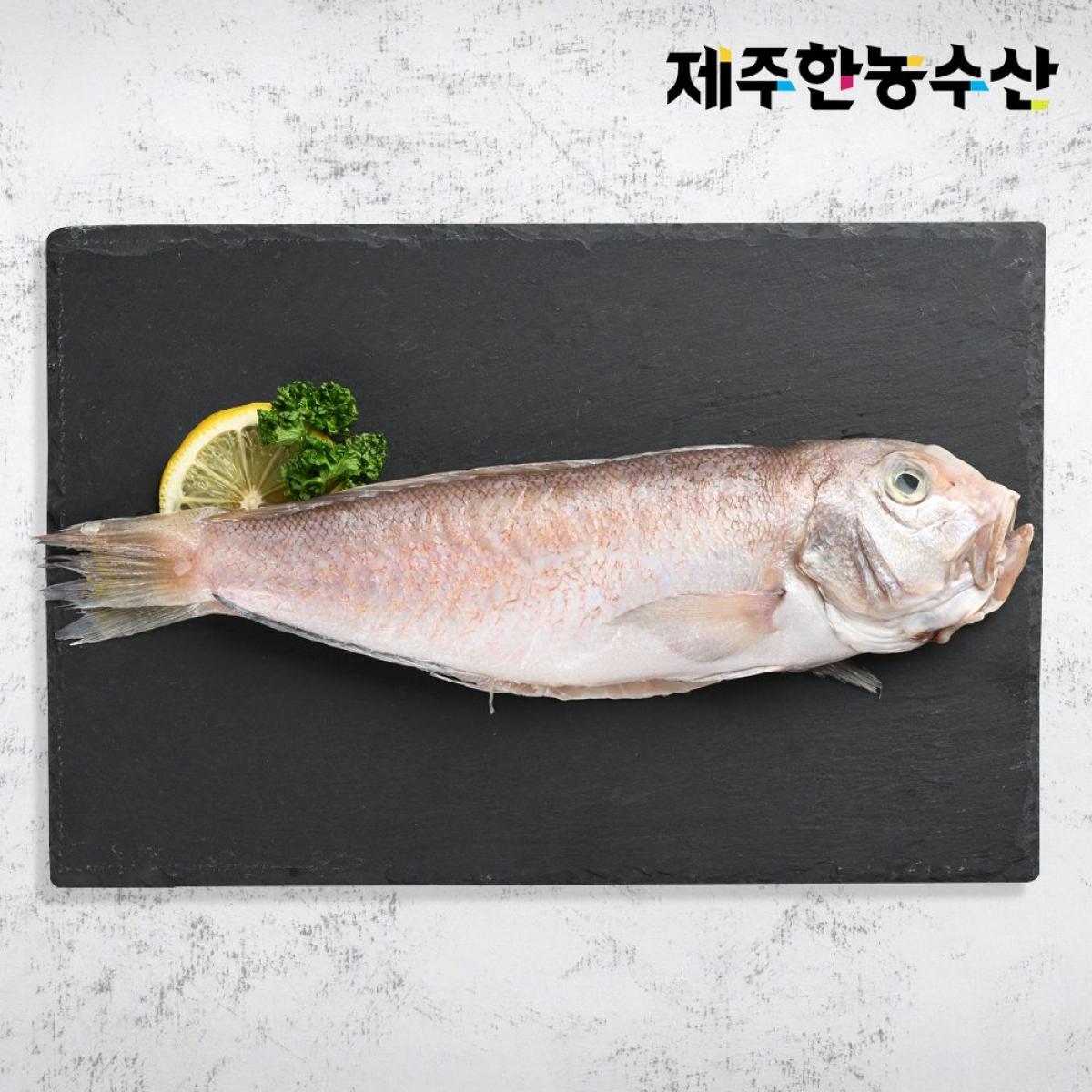 한농수산 제주 어촌마을 옥돔