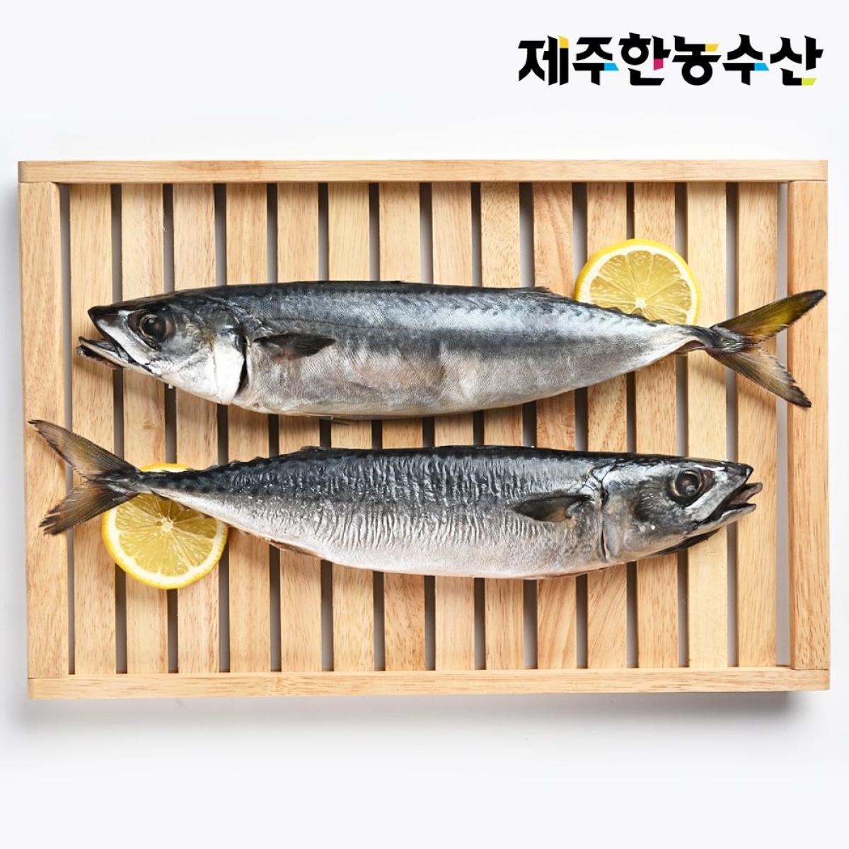 한농수산 제주 어촌마을 고등어