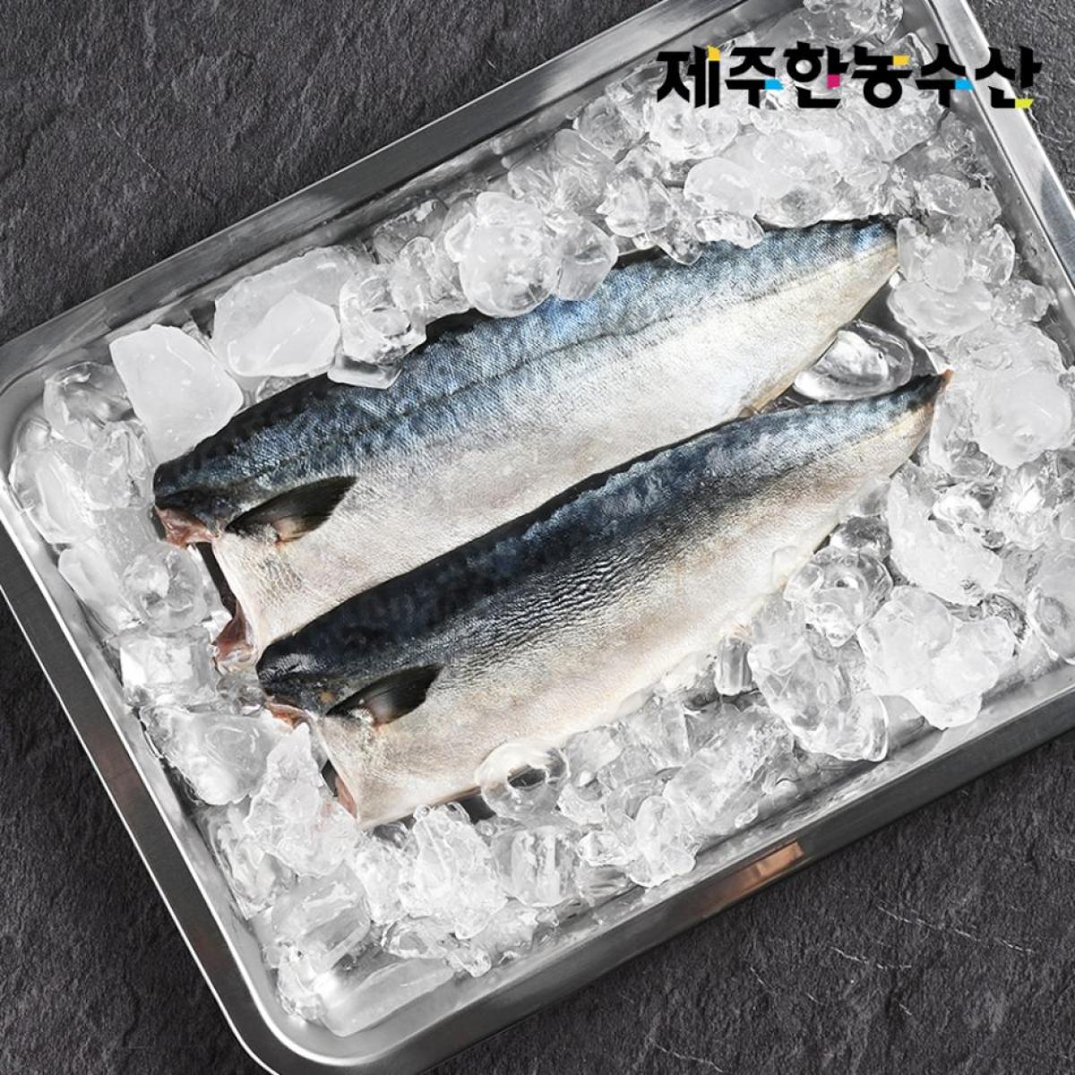 한농수산 제주 어촌마을 고등어