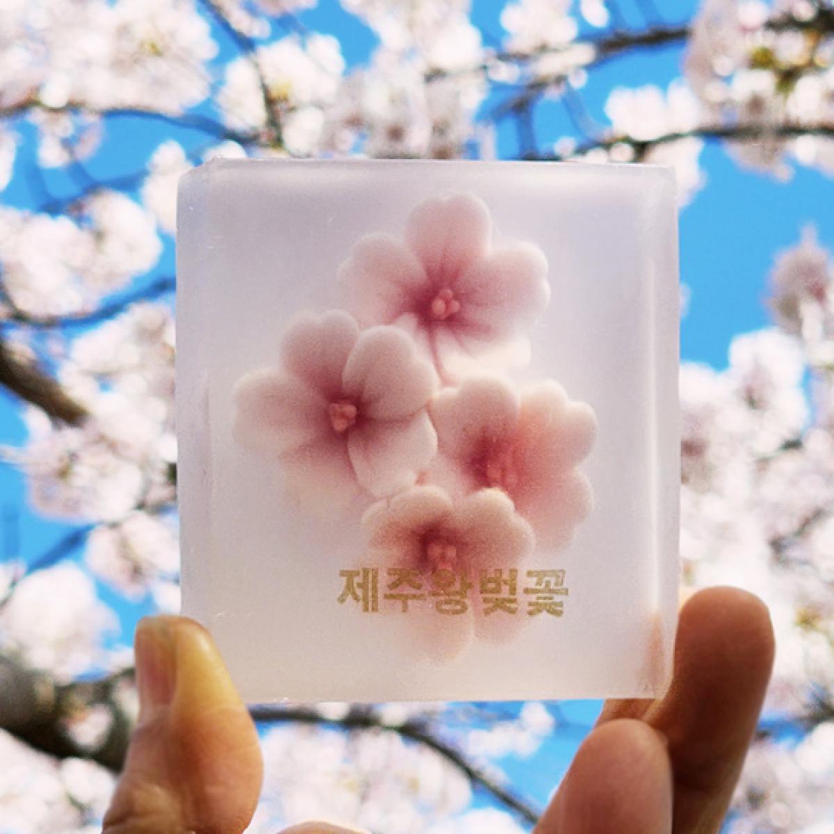 제주 왕벚꽃 비누