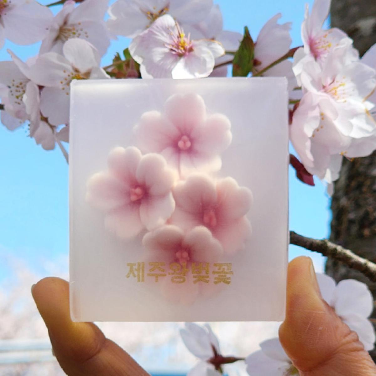 제주 왕벚꽃 비누