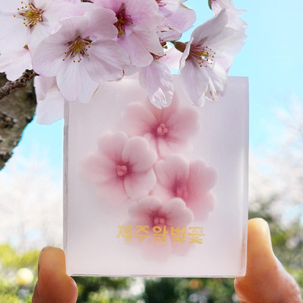 제주 왕벚꽃 비누