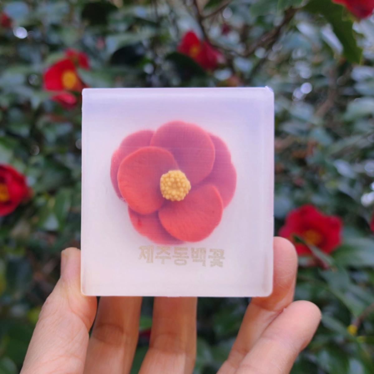 제주 동백꽃 비누