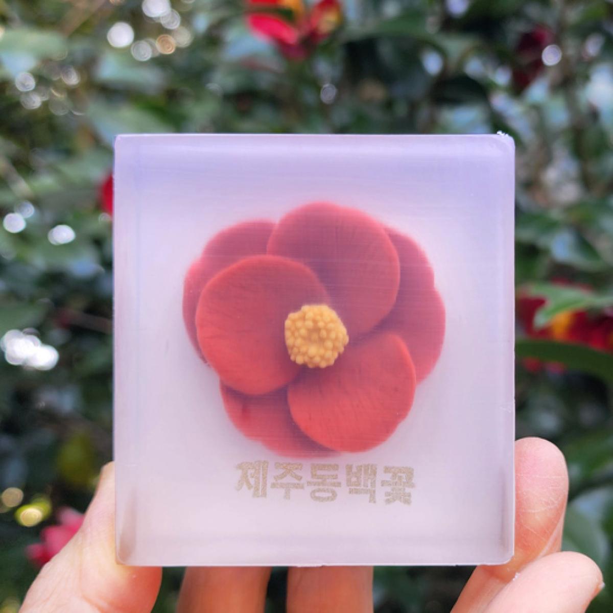 제주 동백꽃 비누