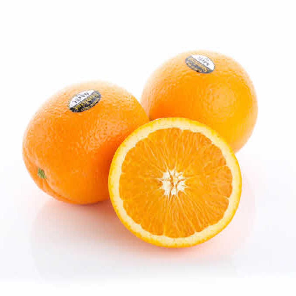 [미국산] 오렌지 블랙라벨 네이블 190g내외 10개~