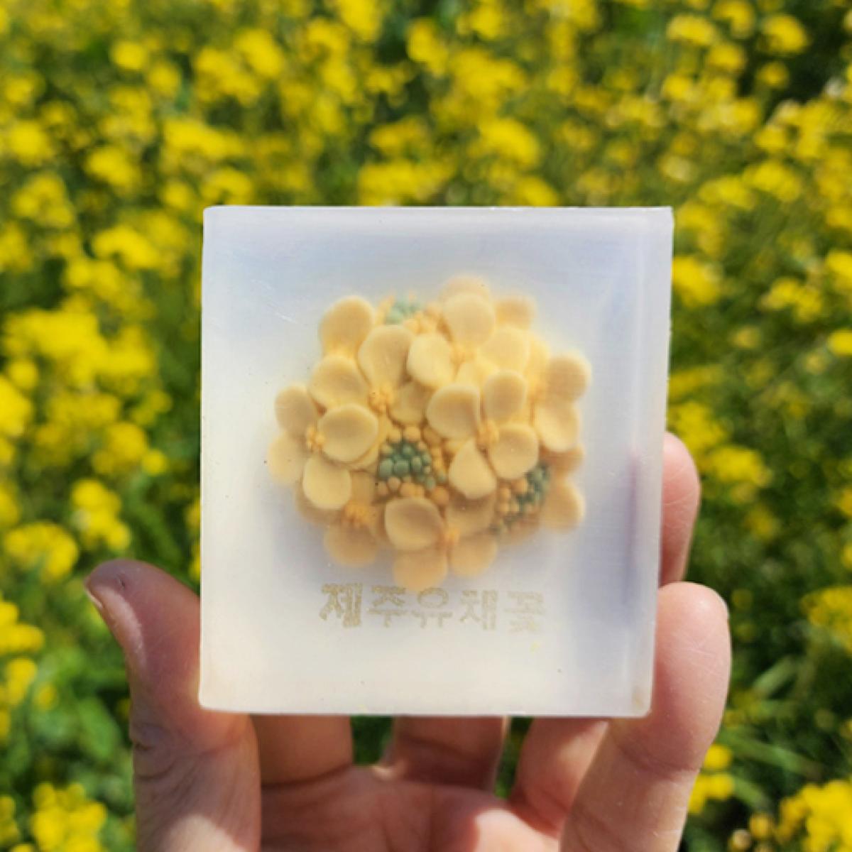 제주 유채꽃비누