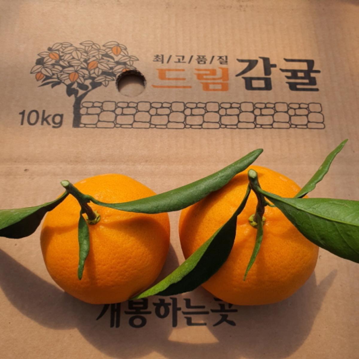 [드림농원] 천혜향