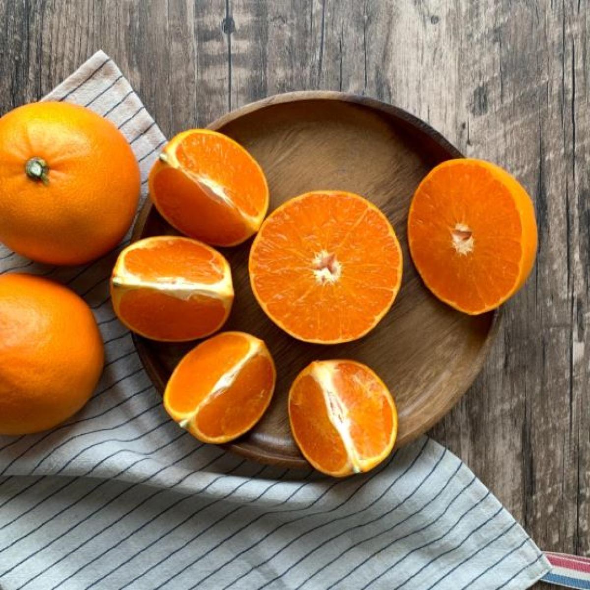 제주 꿀당도 천혜향 선물용 산지직송 유진팡