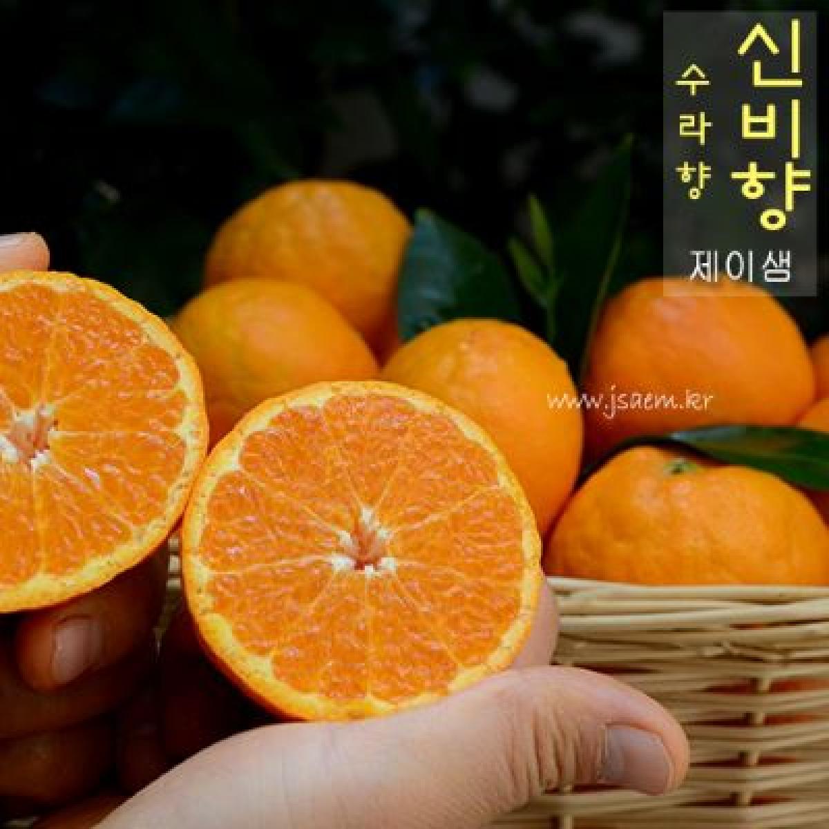 신비향 (수라향) [실속형]