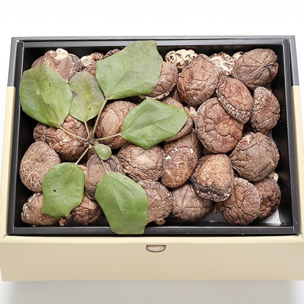 100%제주산 건표고버섯 선물세트 360g