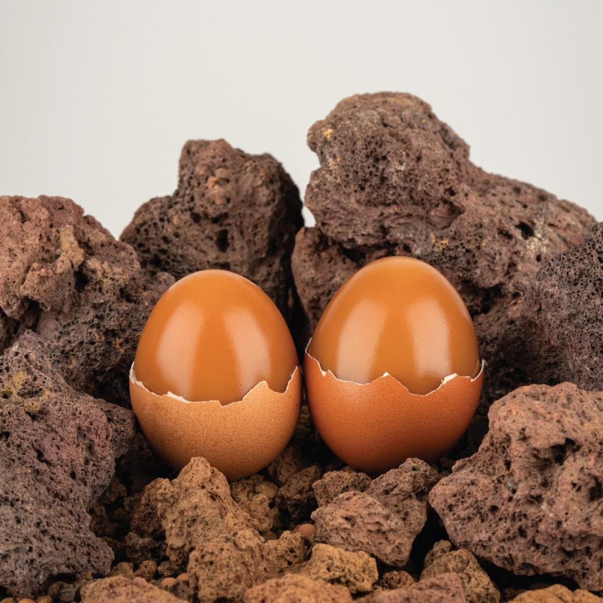 제주 무항생제 쫄깃 탱탱 화산석 구운란 20구+20구