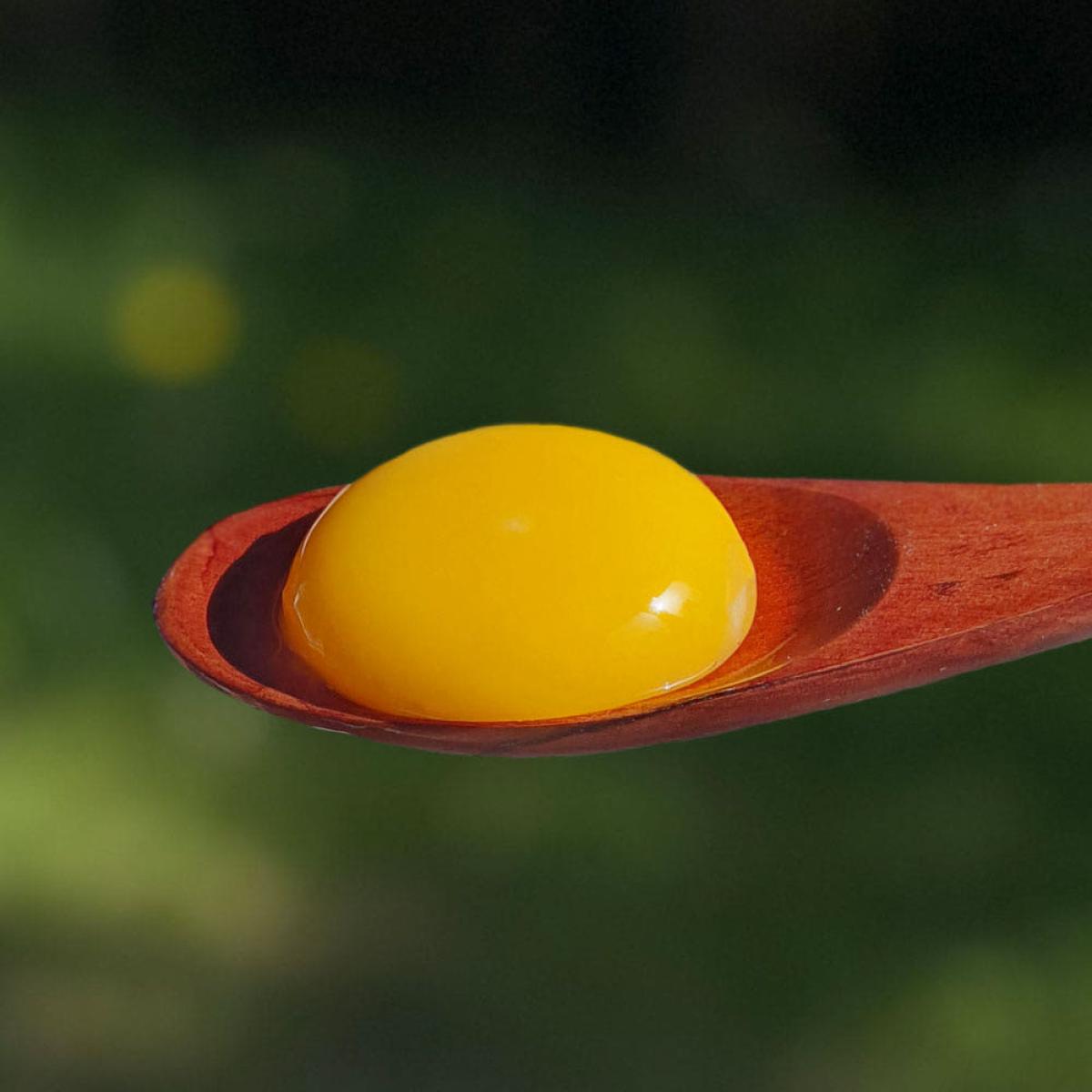 애월아빠들 난각2번 무항생제 제주품은 동물복지 유정란