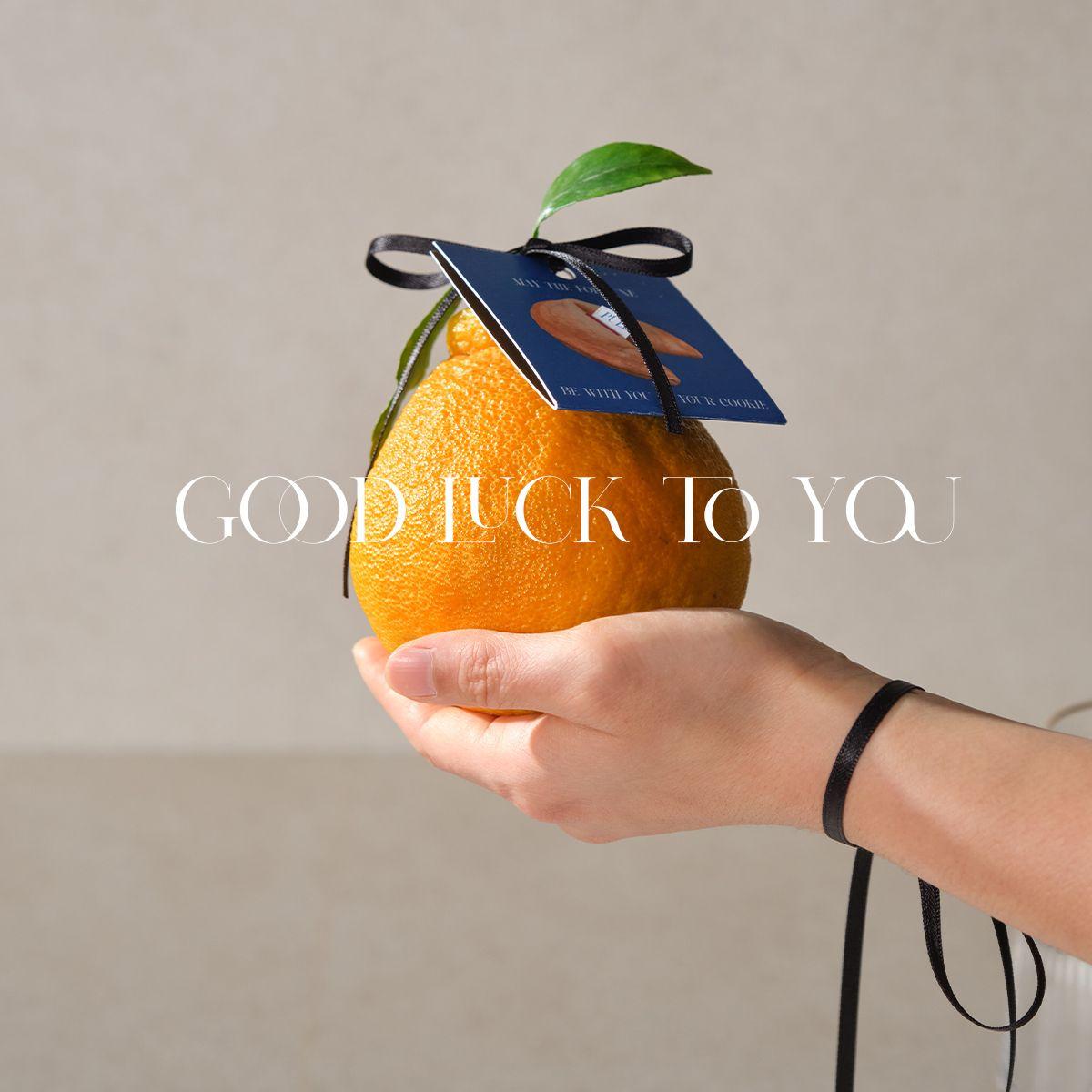 포춘한라봉'새해운세와 한라봉'