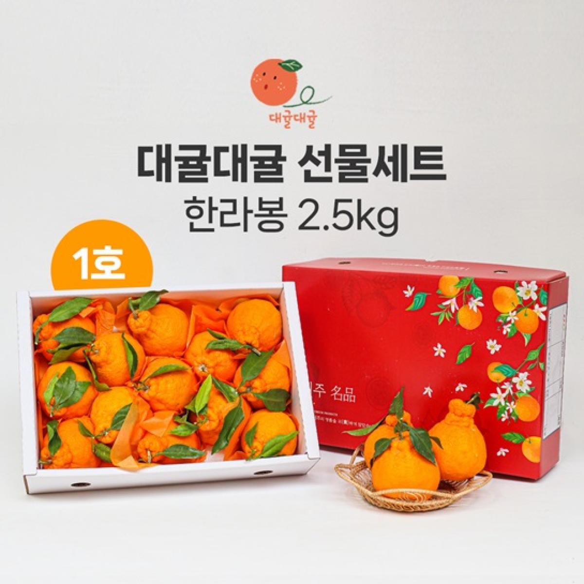 [대귤대귤] 프리미엄 한라봉 선물세트