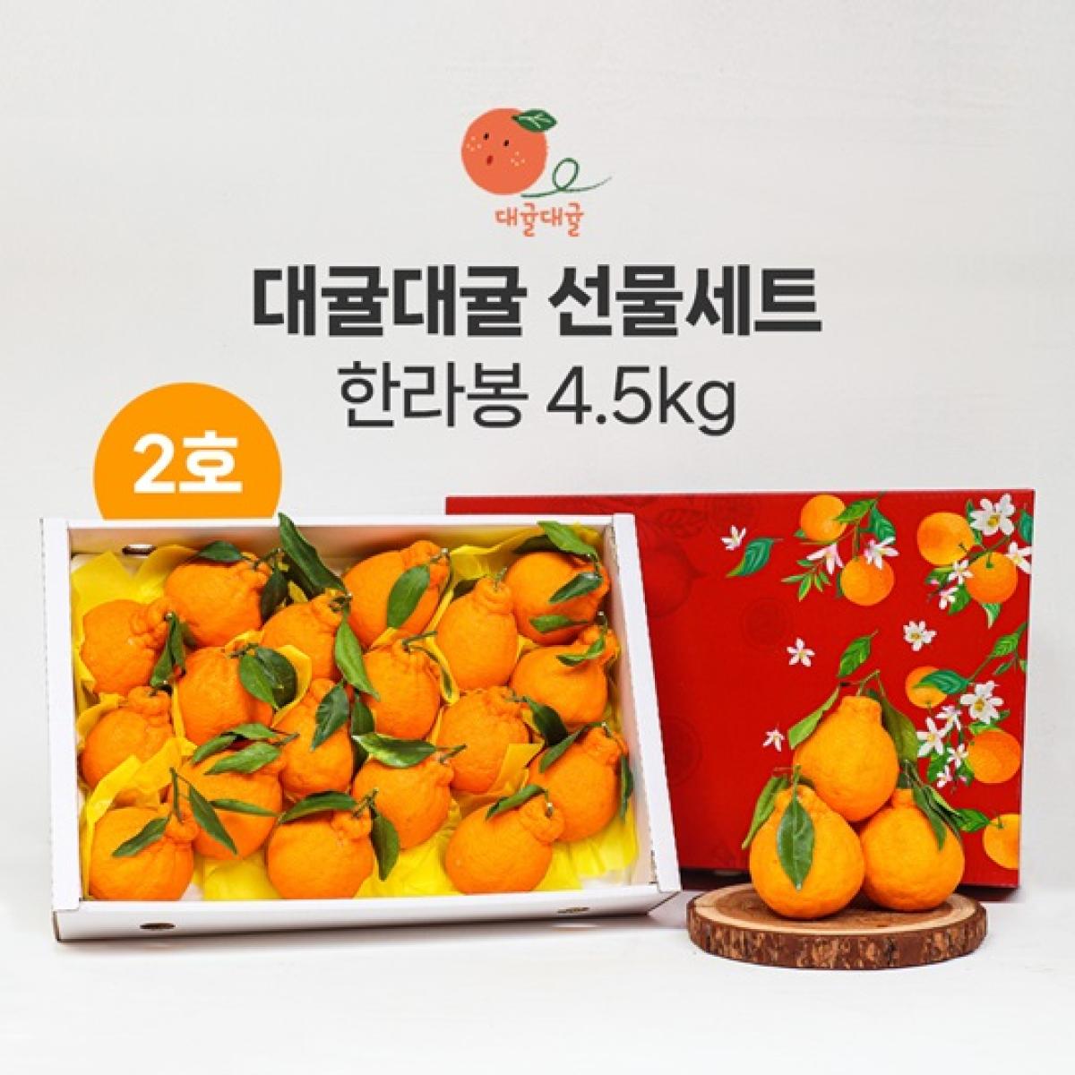 [대귤대귤] 프리미엄 한라봉 선물세트