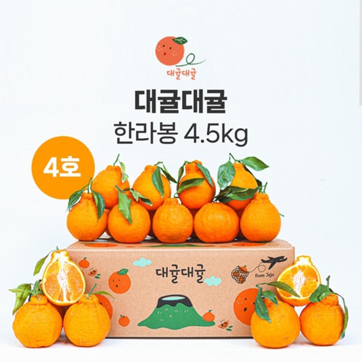 [대귤대귤] 프리미엄 한라봉 선물세트