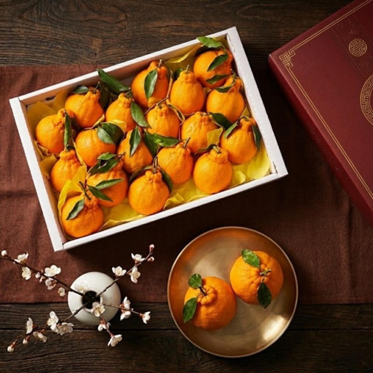 [대귤대귤] 프리미엄 한라봉 선물세트