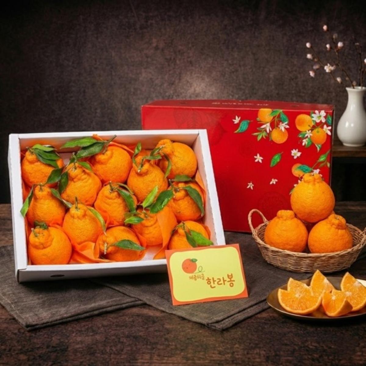 [대귤대귤] 프리미엄 한라봉 선물세트