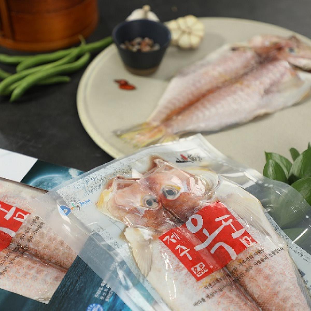 신어가 5호 제주참옥돔 선물세트