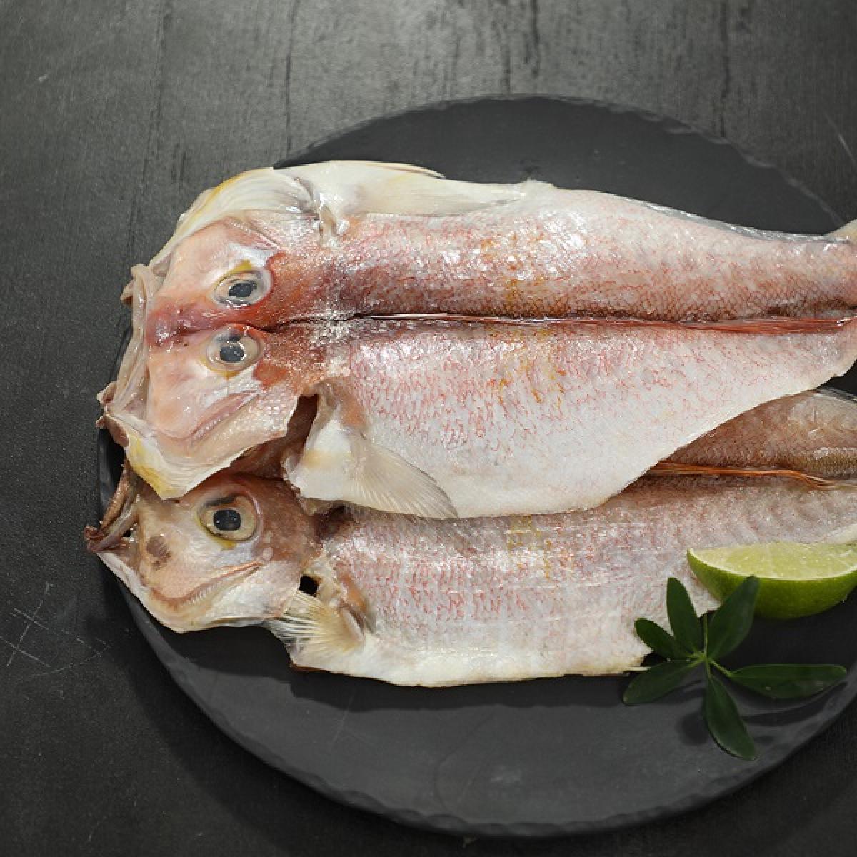 신어가 5호 제주참옥돔 선물세트