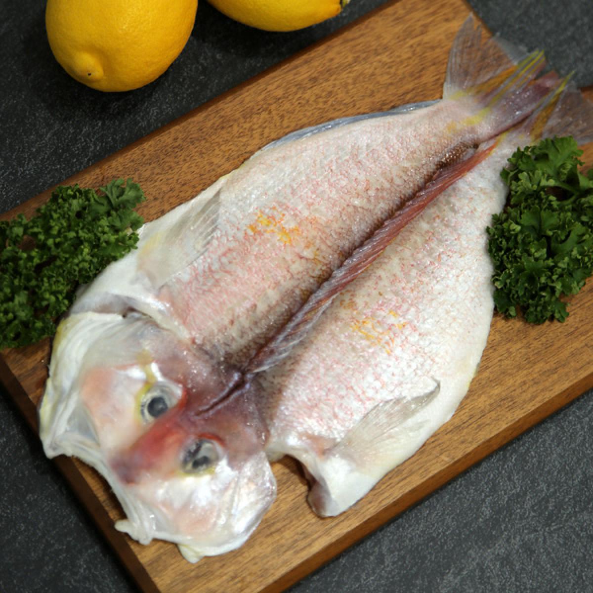 [성창수산]제주 프리미엄 옥돔(마리당 230g 이상)