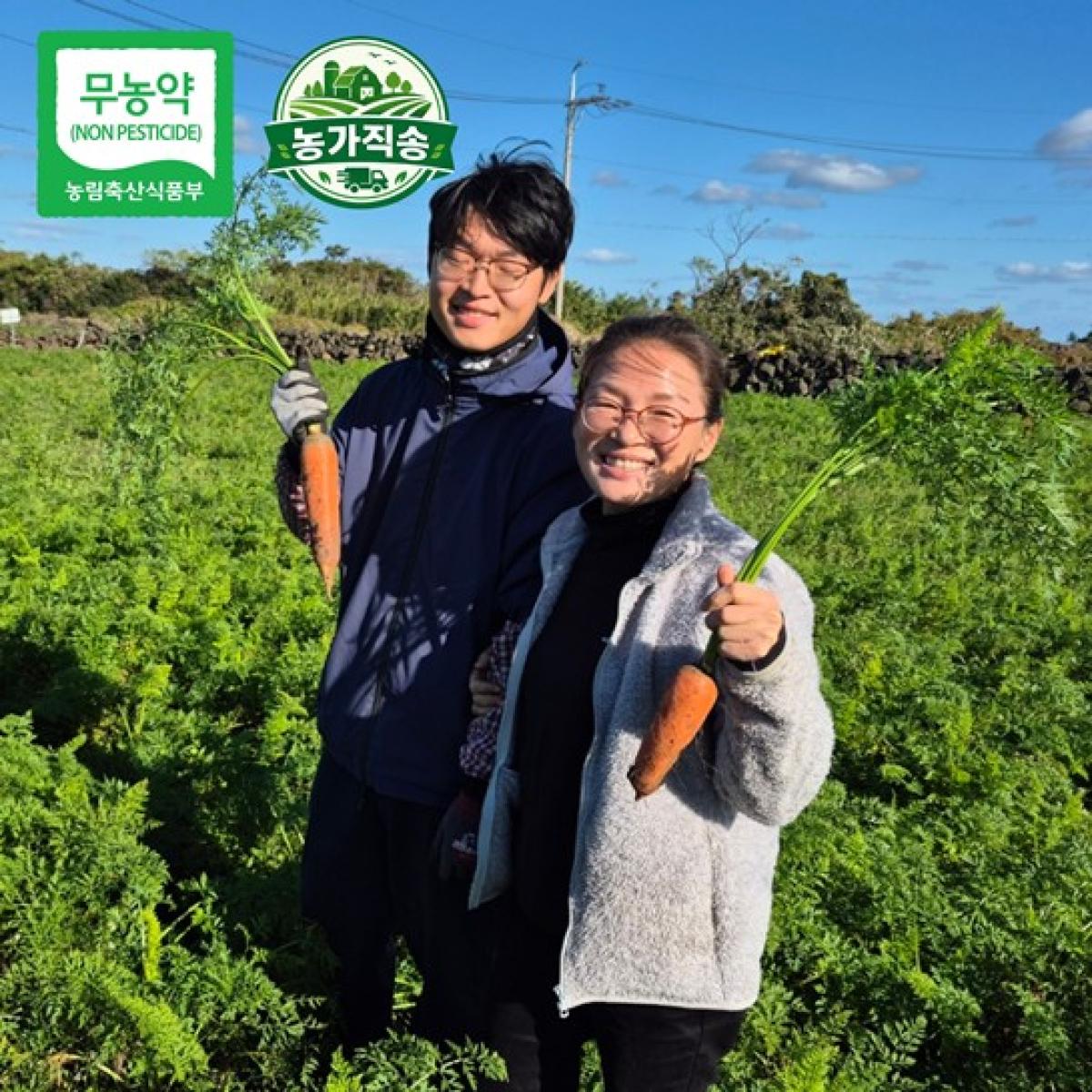 제주 제철 무농약 못난 당근 농가직송 10kg·20kg