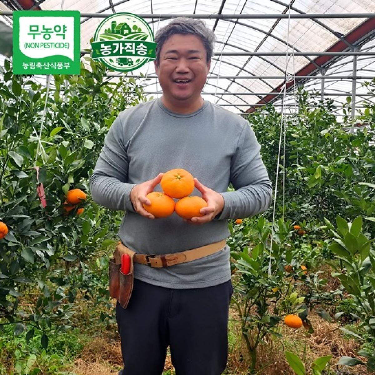 제주 무농약 고당도 꼬마 레드향 2.5kg·4.5kg