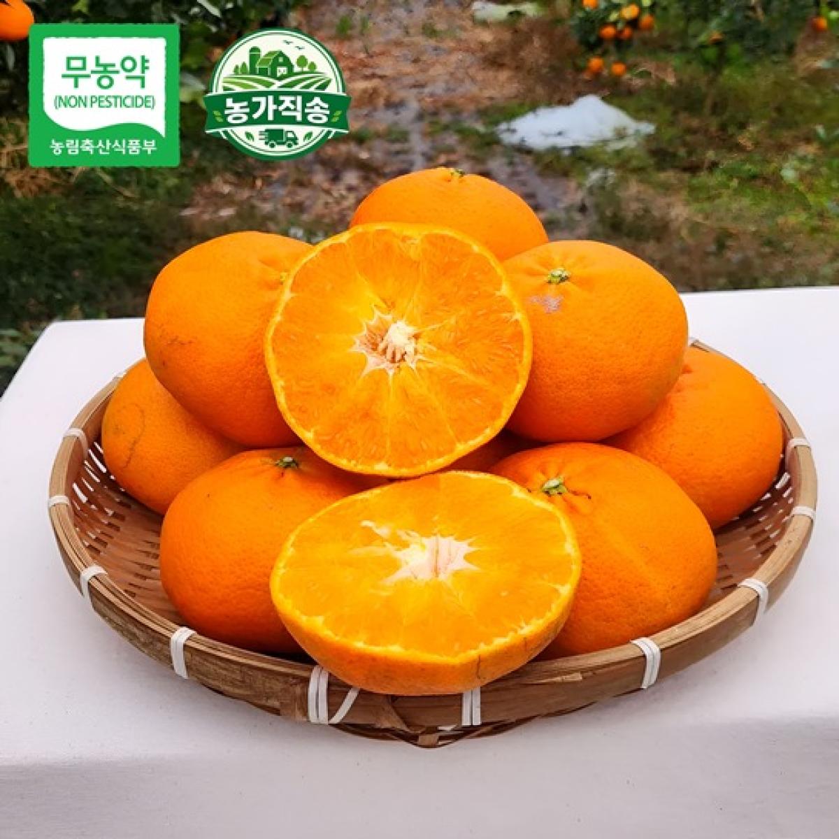 제주 무농약 고당도 꼬마 레드향 2.5kg·4.5kg