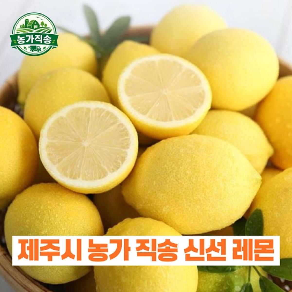 제주산 레몬 5kg 농가직송 제철한정