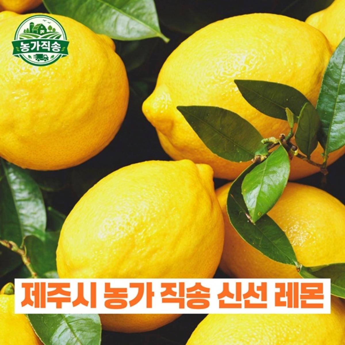 제주산 레몬 5kg 농가직송 제철한정