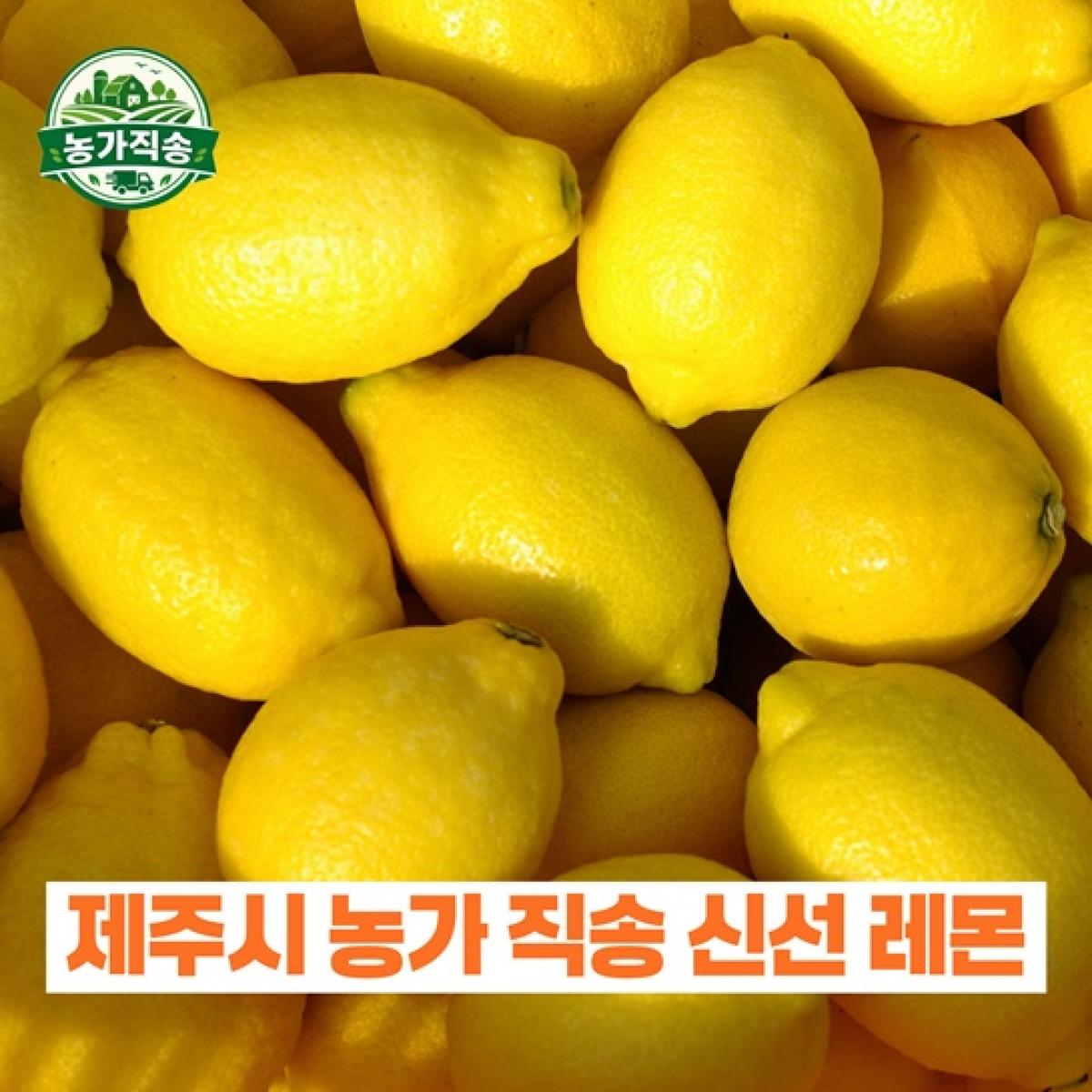 제주산 레몬 5kg 농가직송 제철한정