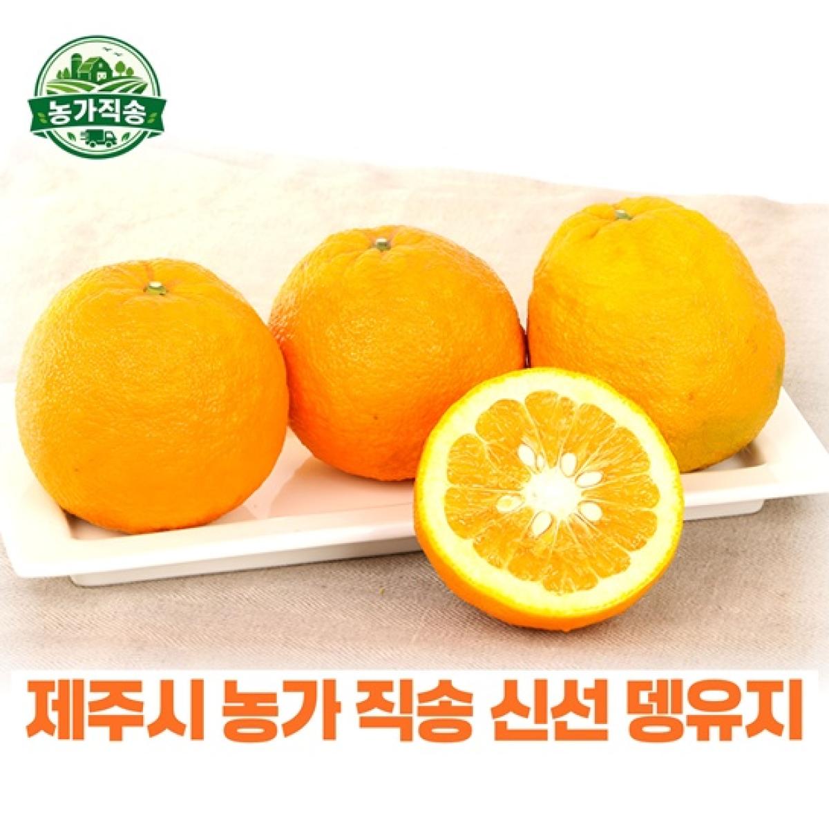 제주산 뎅유지 5kg (당유자·뎅유자) 농가직송 향산감