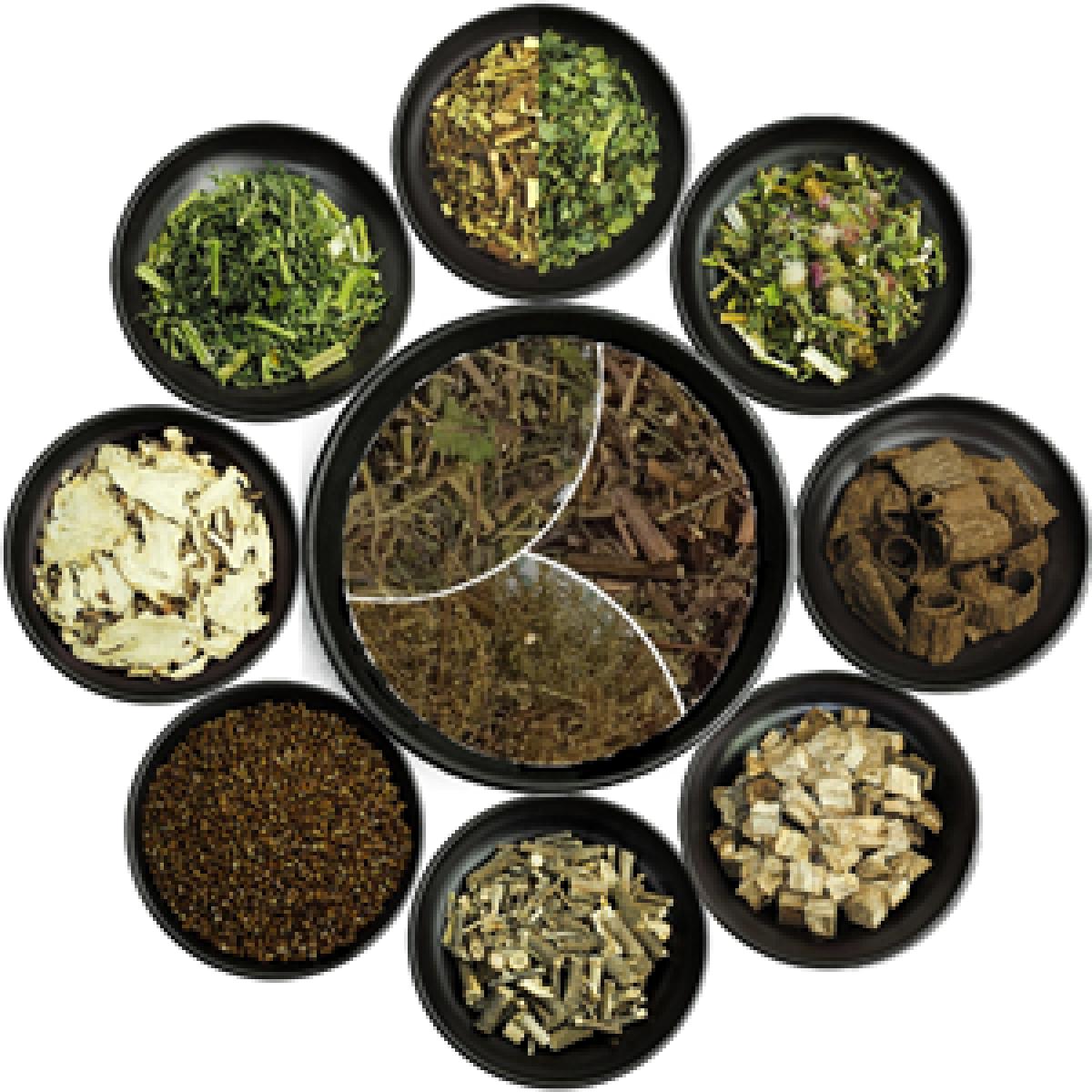 팔팔개똥쑥진액 100mlx60포