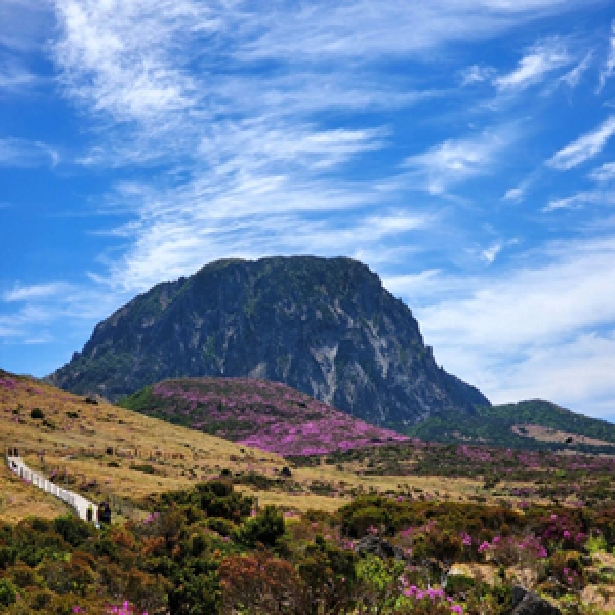 십전대보진액 100ml x 60포